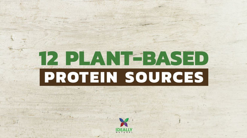 Animated Infographic - 12 plant-based protein sources